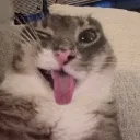 mleh