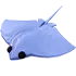 StingRay