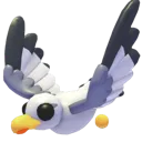 Seagull