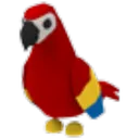 Parrot