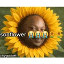 SONFLOWERR