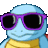 _pokemon_
