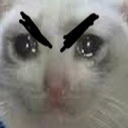 angerycat Discord Emoji - Talking buddies