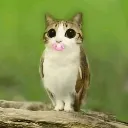 emoji_31