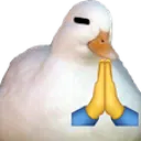 amituofuo