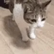 Emoji_CatSlowFallTired