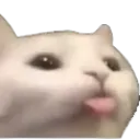 bleep