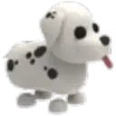 Dalmatian