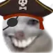gato_piratico