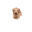 zDogArrive