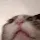 zCatimgoingcrazy