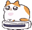 catroomba