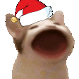 christmaspopcat