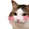 kiisublush