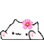 bongocatflower