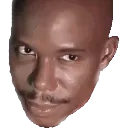312785doakes