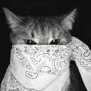 gangsta_cat