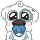 dog5