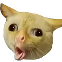 emoji_25