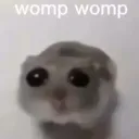 womp_womp