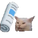 Bonk