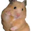 hamsterpeace