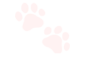 a_apaw9 Discord sticker - .gg/revenants  ᶻ 𝘇 𐰁