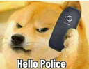 police
