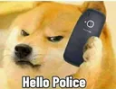 :police: