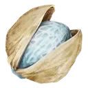 berylnut