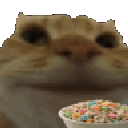 catnom animated GIF emoji - trans chompers