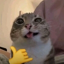 emoji_125 Discord sticker from SMM COMMUNITY