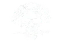 arditi1