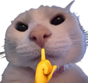 emojigg_shh custom emote | [1.9+] Nextra TierList
