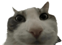 bruh custom emote | [1.9+] Nextra TierList