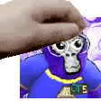pet