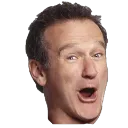 robinwilliams