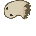 k9_ghostspin animated emote - Wisp Grove