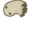 k9_ghostspin3 animated Discord emote | Wisp Grove