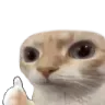 huhcat_thumbs_up