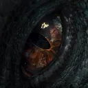 eye