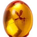 amber
