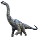 Giraffatitan