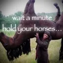 holdyourhorses