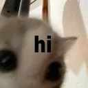 hi