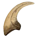 claw