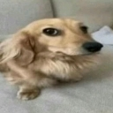 wtf Discord sticker - Failed Abortions pt.3