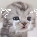 cwycat