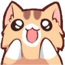 cat_amazed