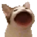 __